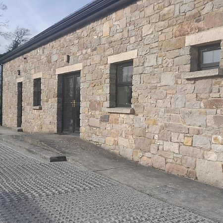 Rathgillen House Vila Nobber Exterior foto
